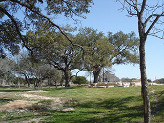 Trail around Misty Creek